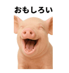 BIGなミニブタのスタンプ（個別スタンプ：7）
