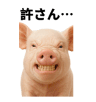 BIGなミニブタのスタンプ（個別スタンプ：8）