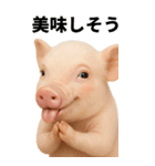 BIGなミニブタのスタンプ（個別スタンプ：9）