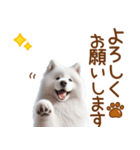 敬語のサモエドスタンプ（個別スタンプ：15）