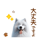 敬語のサモエドスタンプ（個別スタンプ：18）