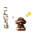 敬語のトイプードルスタンプ（個別スタンプ：2）
