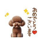 敬語のトイプードルスタンプ（個別スタンプ：6）