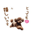 敬語のトイプードルスタンプ（個別スタンプ：11）