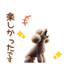 敬語のトイプードルスタンプ（個別スタンプ：14）