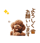 敬語のトイプードルスタンプ（個別スタンプ：15）