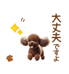敬語のトイプードルスタンプ（個別スタンプ：18）