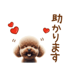 敬語のトイプードルスタンプ（個別スタンプ：19）