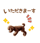 敬語のトイプードルスタンプ（個別スタンプ：29）