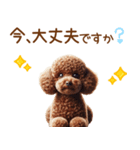 敬語のトイプードルスタンプ（個別スタンプ：30）