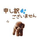 敬語のトイプードルスタンプ（個別スタンプ：36）