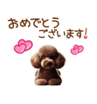 敬語のトイプードルスタンプ（個別スタンプ：39）
