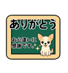 チワワのくーちゃんイラストスタンプ② 夏（個別スタンプ：1）