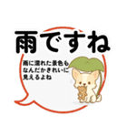 チワワのくーちゃんイラストスタンプ② 夏（個別スタンプ：6）