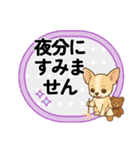 チワワのくーちゃんイラストスタンプ② 夏（個別スタンプ：10）