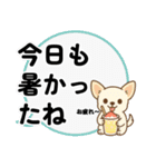 チワワのくーちゃんイラストスタンプ② 夏（個別スタンプ：17）