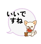 チワワのくーちゃんイラストスタンプ② 夏（個別スタンプ：18）