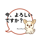 チワワのくーちゃんイラストスタンプ② 夏（個別スタンプ：23）