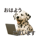 【敬語】働く動物たち（個別スタンプ：2）