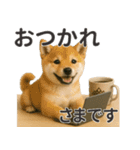 【敬語】働く動物たち（個別スタンプ：4）