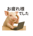 【敬語】働く動物たち（個別スタンプ：5）
