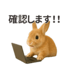 【敬語】働く動物たち（個別スタンプ：6）