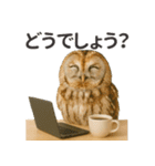 【敬語】働く動物たち（個別スタンプ：8）