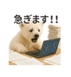 【敬語】働く動物たち（個別スタンプ：9）
