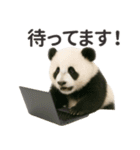 【敬語】働く動物たち（個別スタンプ：10）