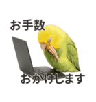【敬語】働く動物たち（個別スタンプ：11）
