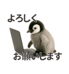 【敬語】働く動物たち（個別スタンプ：12）