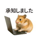 【敬語】働く動物たち（個別スタンプ：14）