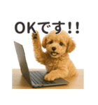 【敬語】働く動物たち（個別スタンプ：15）