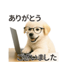 【敬語】働く動物たち（個別スタンプ：18）