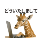 【敬語】働く動物たち（個別スタンプ：19）