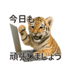 【敬語】働く動物たち（個別スタンプ：21）