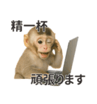 【敬語】働く動物たち（個別スタンプ：22）
