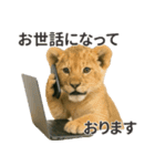 【敬語】働く動物たち（個別スタンプ：23）