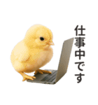 【敬語】働く動物たち（個別スタンプ：24）