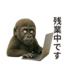 【敬語】働く動物たち（個別スタンプ：25）