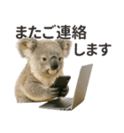 【敬語】働く動物たち（個別スタンプ：26）