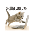 【敬語】働く動物たち（個別スタンプ：27）