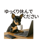 【敬語】働く動物たち（個別スタンプ：29）