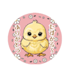 ぴよぴよ＊癒しのひよこトーク（個別スタンプ：3）