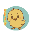 ぴよぴよ＊癒しのひよこトーク（個別スタンプ：19）