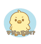 ぴよぴよ＊癒しのひよこトーク（個別スタンプ：24）