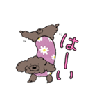 といぷーどるのぼた（個別スタンプ：1）