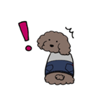 といぷーどるのぼた（個別スタンプ：11）