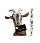 セレブリティヤギさん（個別スタンプ：1）