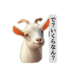 セレブリティヤギさん（個別スタンプ：5）